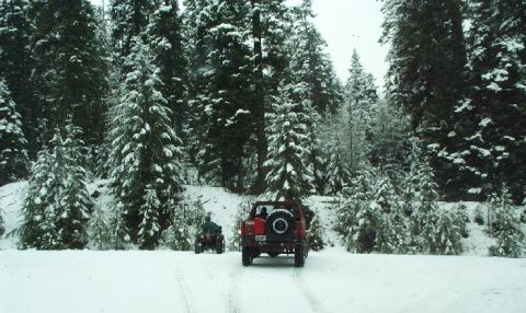 1982 Ford Bronco - Two vehicles drive through a snowy forest scene.