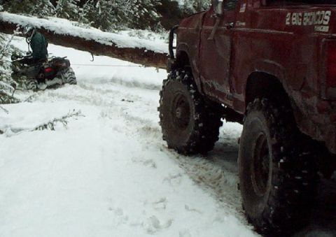 1982 Ford Bronco - A red pickup truck and an ATV navigate a snowy path, with a large fallen tree blocking the way.