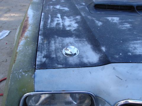 1973 Ford Ranchero - The front of a 1973 Ford Ranchero shows a hood with a gas cap and primer, next to a rusty green fender.