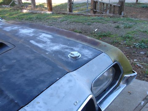 1973 Ford Ranchero - Close-up of a hood ornament on a weathered 1973 Ford Ranchero.