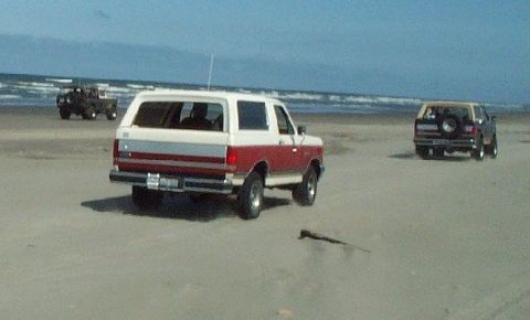 1982 Ford Bronco - A pair of SUVs drive along a sandy beach with the ocean waves in the background.