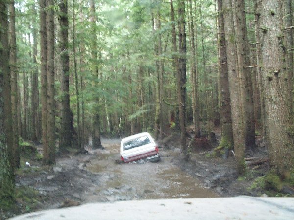 Red and white SUV stuck in a deep muddy rut on a forest trail, seen over a white hood