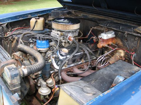 1967 Ford Mustang - Engine bay view showing the carburetor, distributor, and various hoses and components.