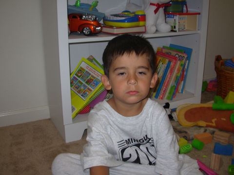 1995 Ford Taurus - A child sits on the floor in front of a bookshelf filled with books and toys.