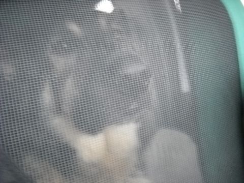 1978 Ford Bronco - Blurry interior of a vehicle, seen through a mesh screen.