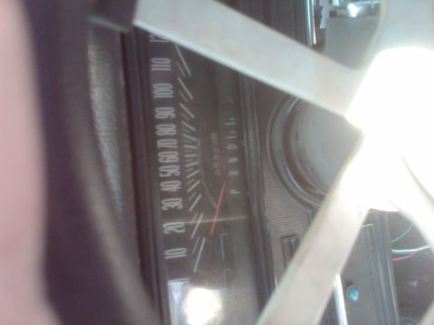 1982 Ford Bronco - Close-up of a vehicle's dashboard, showing the speedometer and gear indicator.