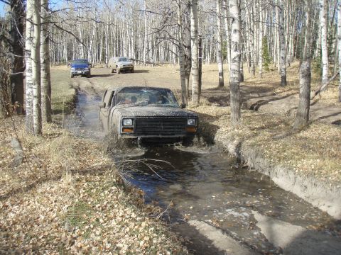 1985 Ford Bronco photo