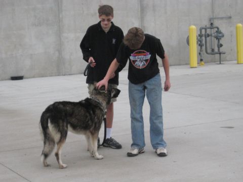 1978 Ford Bronco - A dog stands on a concrete surface while two young people pet it. Industrial pipes are visible in the background.