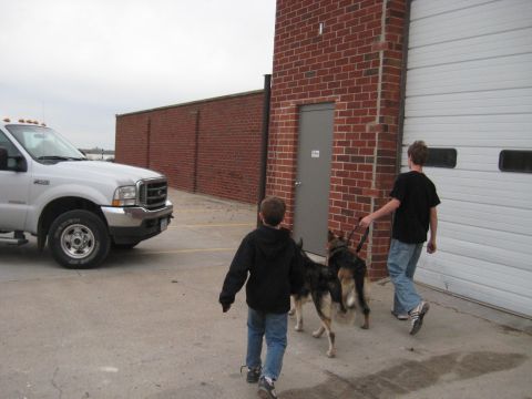 1978 Ford Bronco - A silver Ford F-250 truck is parked outside a brick building as two boys walk dogs past a garage door.