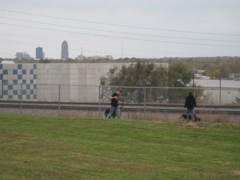 1978 Ford Bronco - People and their dogs are seen walking near railroad tracks with a city skyline in the distance.