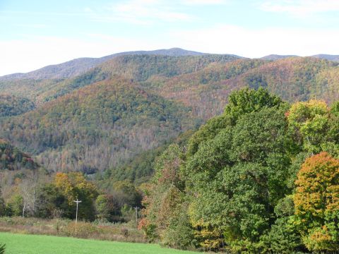 1985 Ford LTD Crown Victoria - A scenic view of mountains displaying autumn foliage under a clear blue sky.
