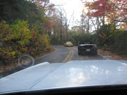 1985 Ford LTD Crown Victoria - A black convertible and a yellow convertible drive on a road surrounded by trees with autumn leaves.