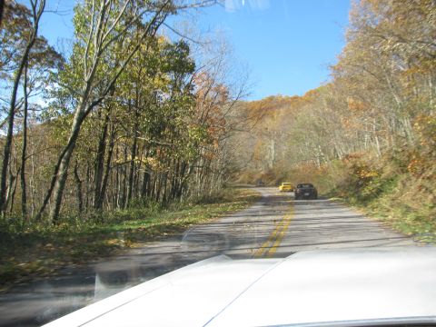 1985 Ford LTD Crown Victoria - Two cars drive down a winding road through a forest during autumn.