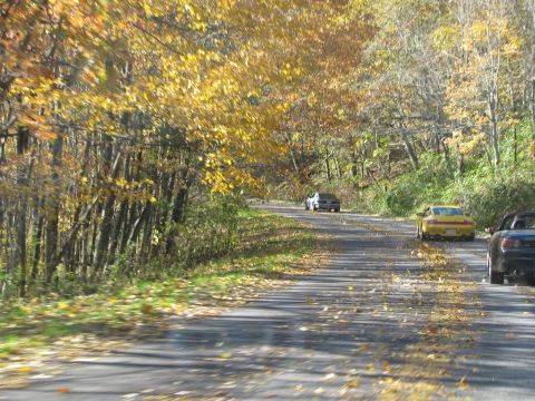 1985 Ford LTD Crown Victoria - A yellow Porsche and two other vehicles drive down a road lined with trees displaying autumn colors.