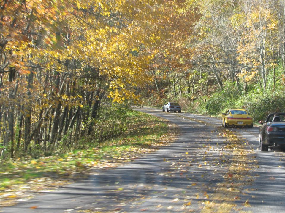 Yellow Porsche and two other cars on a road with fall foliage