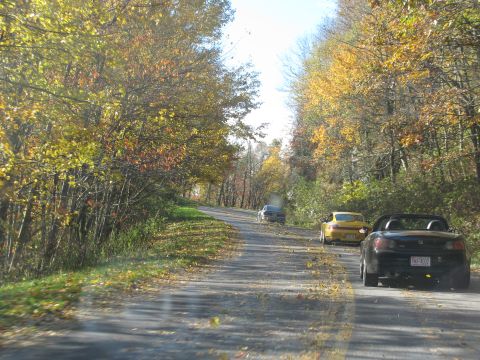 1985 Ford LTD Crown Victoria - Autumn drive with multiple cars on a scenic, tree-lined road.