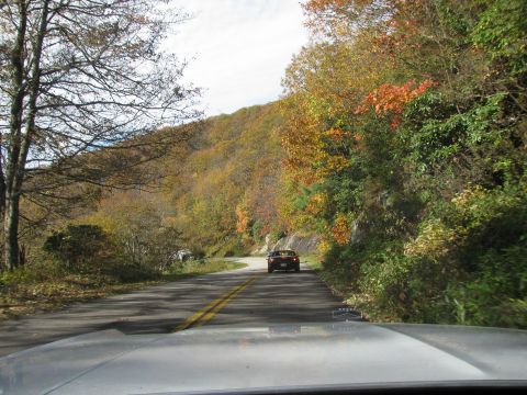 1985 Ford LTD Crown Victoria - A convertible travels down a scenic road surrounded by trees in peak fall color.