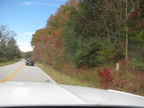 1985 Ford LTD Crown Victoria - Driving on a country road during fall with colorful trees lining the route.