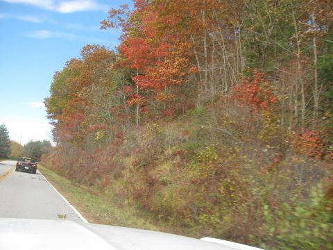 1985 Ford LTD Crown Victoria - A car travels down a road bordered by trees displaying autumn colors under a partly cloudy sky.