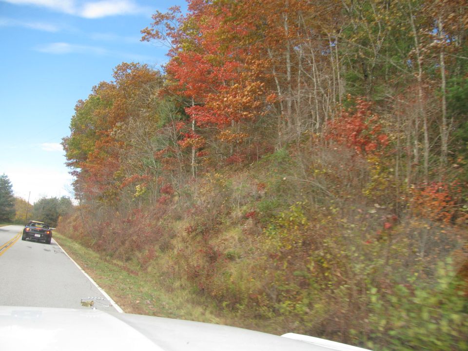Car driving on a road next to a wooded hillside with fall foliage