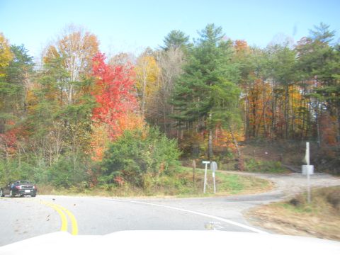 1985 Ford LTD Crown Victoria - A black convertible is seen on a road surrounded by trees displaying vibrant autumn colors.