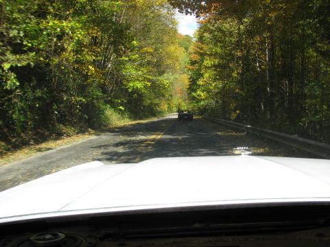1985 Ford LTD Crown Victoria - Driving on a tree-lined road with autumn foliage and another car ahead.