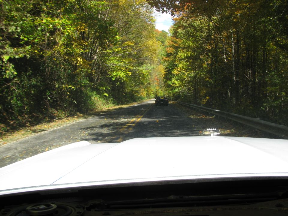 White car hood in foreground, road ahead with trees and a dark vehicle in the distance