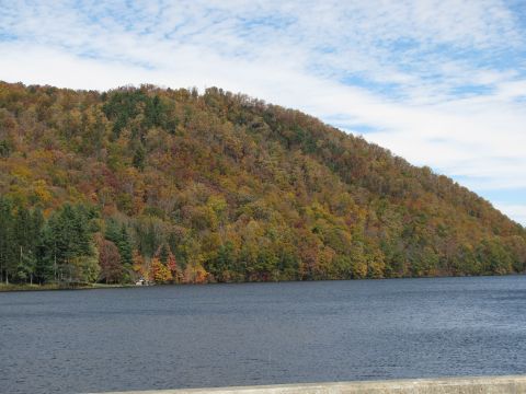 1985 Ford LTD Crown Victoria - A scenic view of a hillside ablaze with autumn colors, with a calm body of water in the foreground under a partly cloudy sky.