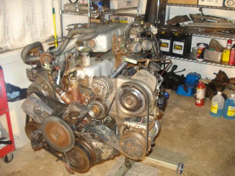 1991 Ford Bronco - Engine assembly, likely from a truck or SUV, shown in a garage setting with various fluids and equipment in the background.