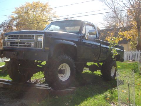1978 Chevrolet C/K Pickup “The blue truck...”