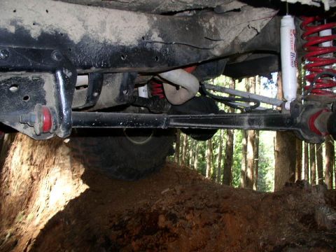 1979 Ford Bronco - The suspension components of an off-road vehicle are visible from underneath, with a tire and forest in the background.