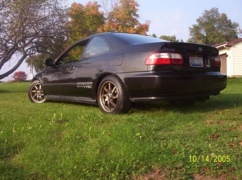 1982 Oldsmobile Cutlass - A black coupe with aftermarket bronze wheels sits on a grassy lawn under a tree.