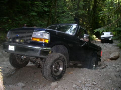 1979 Ford Bronco - A dark-colored Ford Bronco navigates a rough, off-road path through a dense forest.