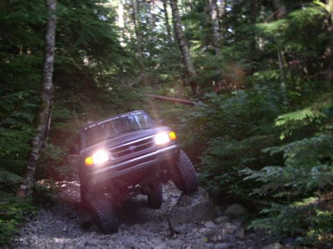 1979 Ford Bronco - Poser........