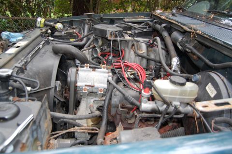 1994 Ford Bronco - The engine bay of a 1994 Ford Bronco shows its V8 engine and cooling fan.