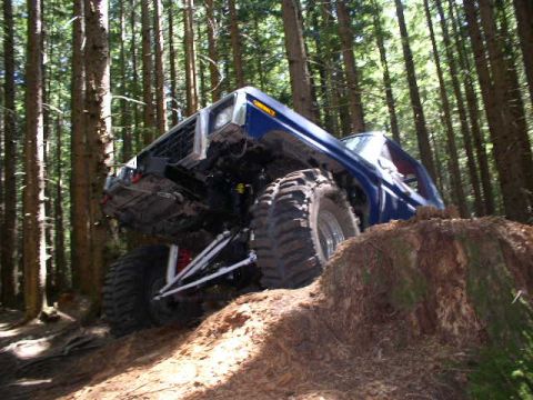 1979 Ford Bronco - This blue SUV is navigating a steep dirt incline in a dense forest setting.