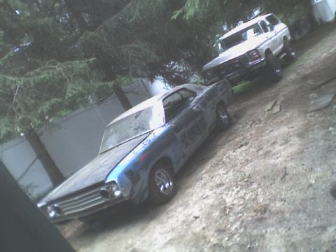 1969 Ford Torino - A 1969 Ford Torino is parked next to a white Ford Bronco in a yard.