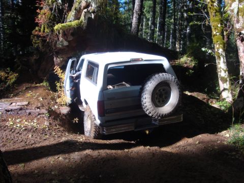 1978 Ford Bronco - The Cedar tree