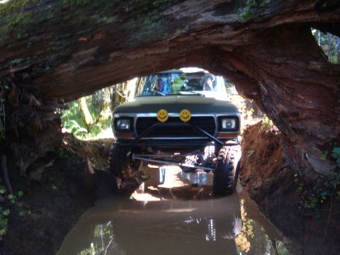1978 Ford Bronco - This modified Ford Bronco navigates a challenging off-road path, passing under a massive fallen tree trunk.