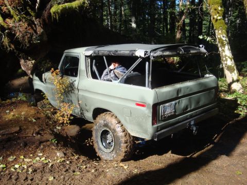 1978 Ford Bronco - A 1978 Ford Bronco is stuck in the mud on a wooded trail, its soft top removed.