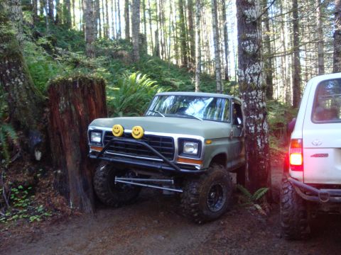1978 Ford Bronco - Little close by the trees