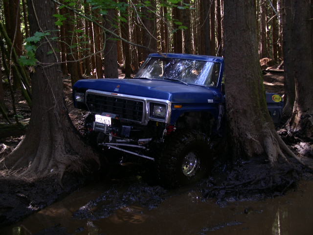 Blue 1979 Ford Bronco stuck between trees in a muddy forest