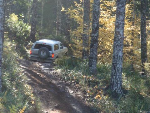 1978 Ford Bronco - A white SUV navigates a muddy forest road, its spare tire mounted on the back.