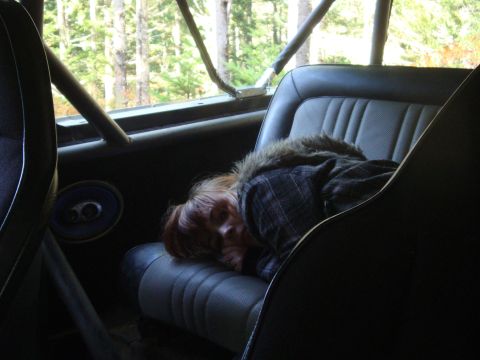 1978 Ford Bronco - A person sleeps in the interior of a vehicle, with trees visible through the window.