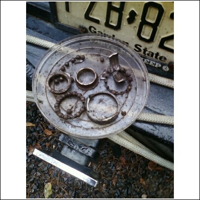 2004 Jeep Wrangler - A collection of used bearings and races are displayed in a clear plastic container, with a license plate visible behind them.