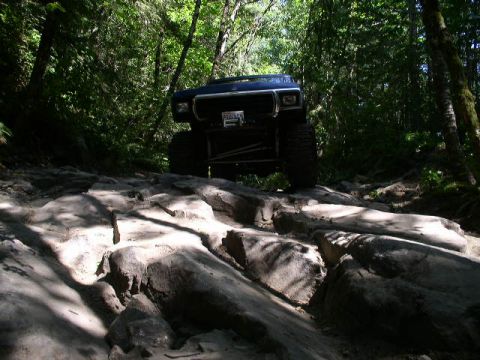 1979 Ford Bronco - This vehicle is navigating a challenging rocky path through a dense forest, with sunlight filtering through the trees.