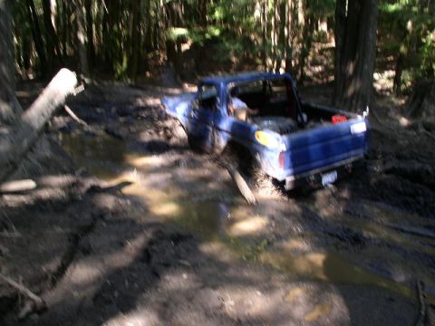 1979 Ford Bronco - This 1979 Ford Bronco is stuck deep in the mud in a wooded area.