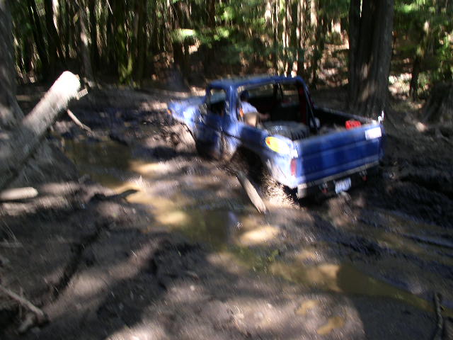 1979 Ford Bronco stuck in mud with trees around