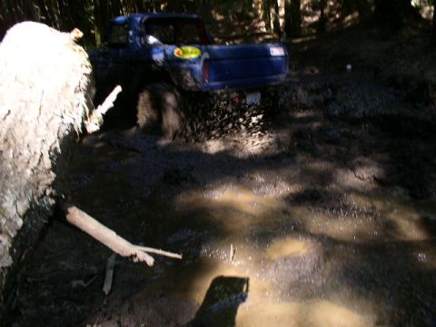 1979 Ford Bronco - Made it out and went home