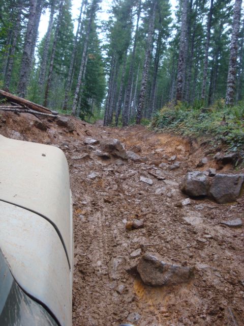 1978 Ford Bronco - Navigating a challenging muddy and rocky trail deep within a forest.